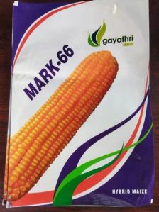 Mark 66 Hybrid Maize Seeds