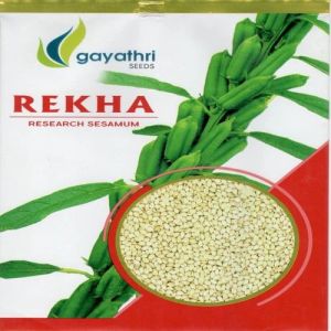 Rekha Research Sesame Seeds