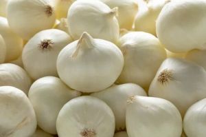 A Grade White Onion