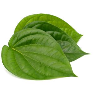 Natural Betel Leaf