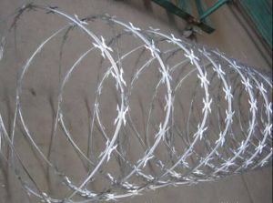 Concertina Wire Fencing