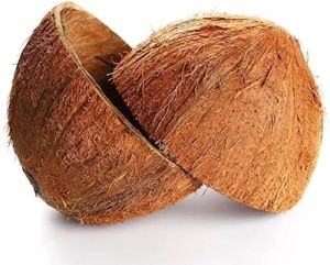 Brown Coconut Shell