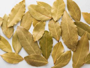 Bay Leaves