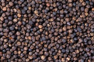 Black Pepper Seeds