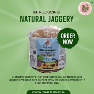 Natural Solid Jaggery