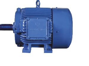 BHARAT BIJLEE AC INDUCTION MOTOR