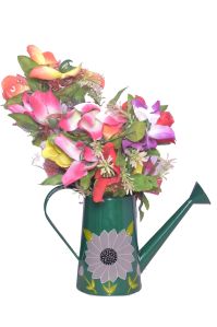 Flower vase Watering Can