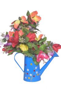 Flower Vase Watering Cans Flowers