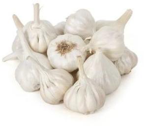 A Grade Garlic