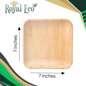 Biodegradable areca plate 7 inch square