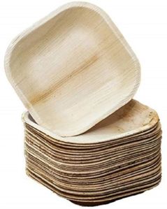 Areca Leaf Plates Square 10 Inch