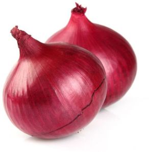 Onion