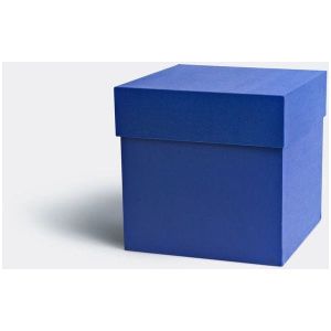 Watch Box