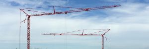 Self Erecting Tower Cranes