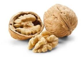 Fresh Kashmiri Walnuts