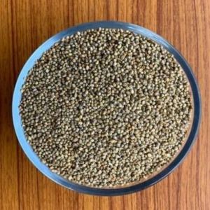 Dried Bajra Seeds