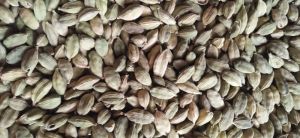 Cardamom Seeds