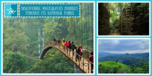 Meghalaya With Kaziranga Road Trip