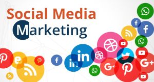 Social Media Marketing Training Services