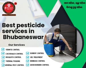 Pest Control Service