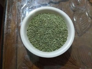 green fennel seed