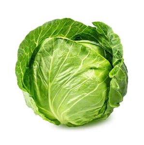 A Grade Cabbage