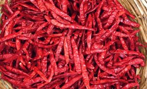 Dry Red Chili