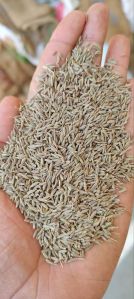 Cumin Seeds