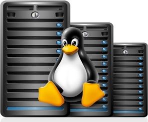 Linux VPS Hosting