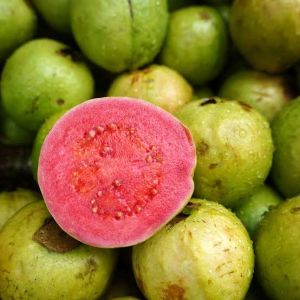 Fresh Guava