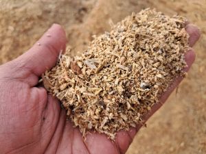Natural Wood Sawdust
