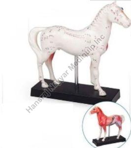 Acupuncture Horse 3D Anatomical Model