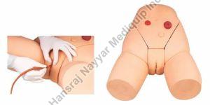 Female Catheterization Training Model