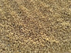 Refractory Bed Material