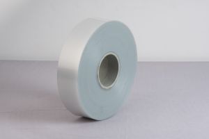 Polyester Tapes