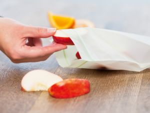 Compostable Plastic Bag