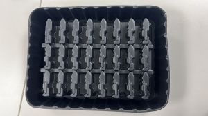 Food Container Thermoformed Tray