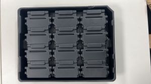 Food Container Thermoformed Tray