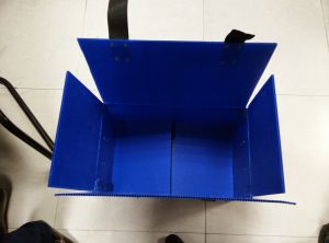 PP Bin