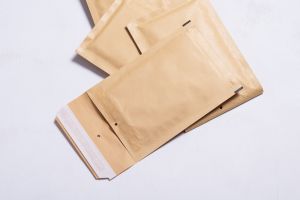 Paper Mailer Bags