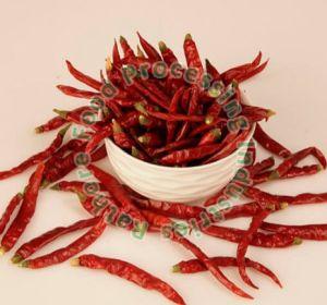 Dry Red Chili Teja S17