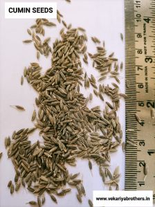 cumin seeds