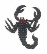 Stick Body Tattoo Bindi