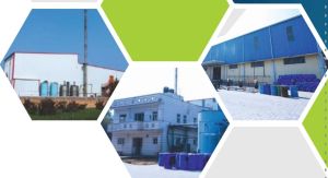 Oil Alkyd Resins
