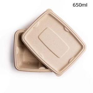 Disposable Bagasse Food Containers