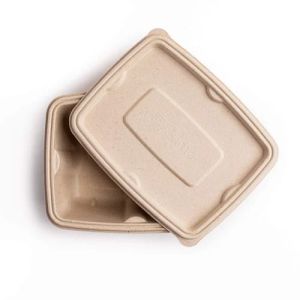 750 ml Disposable Bagasse Food Containers