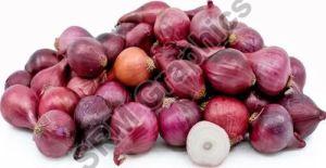 A Grade Red Baby Onion