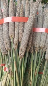 Decorative Dry Arrangements Flowers