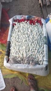 Rajnigandha Flower Garland