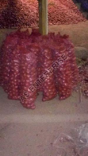Fresh Red Onion